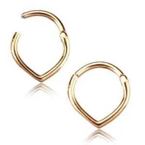 Tulsa Body Jewelry Rings VShaped Hinged Segment Ring Tulsa Body Jewelry Rings VShaped Hinged Segment Ring